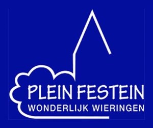 logo PleinFestein